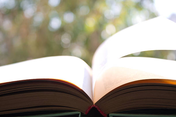 istock open book on background of foliage 625911894