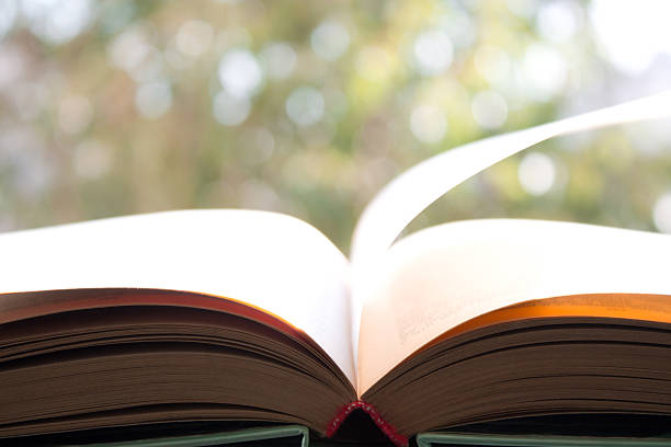 istock open book on background of foliage 625912004