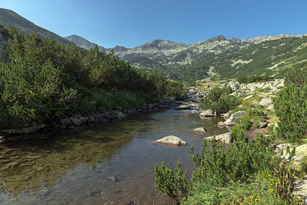 istock Banderishki Chukar Peak and mountain river, Pirin Mountain 625915632