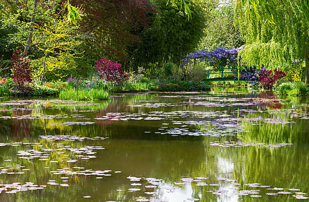 Water Lily Pond at springtime Water lily pond  in Giverny at springtime, France. giverny stock pictures, royalty-free photos & images