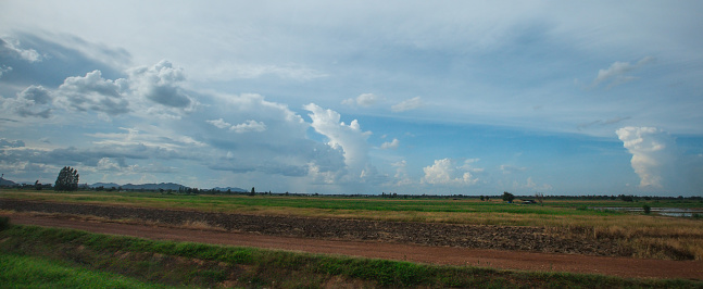 countryside Cornfield at Thailand