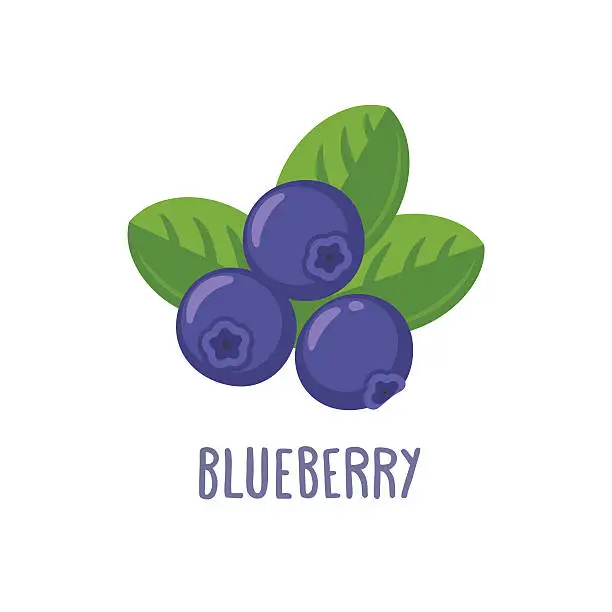 Vector illustration of Vector blueberry icon