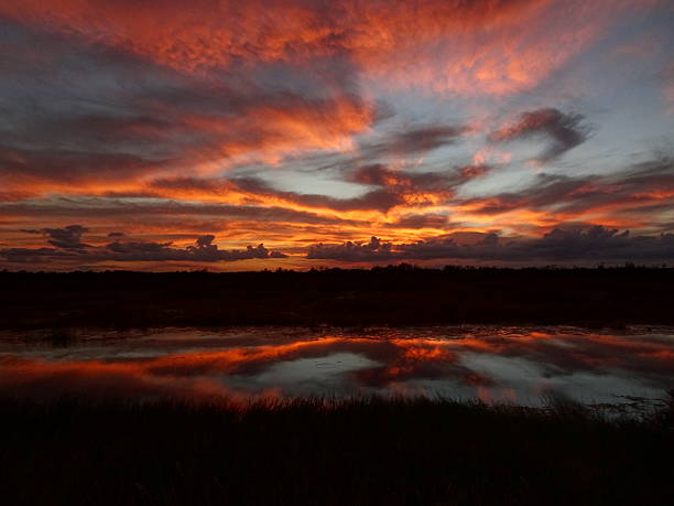istock amazing multi-colored sunset in the swamp 625937690