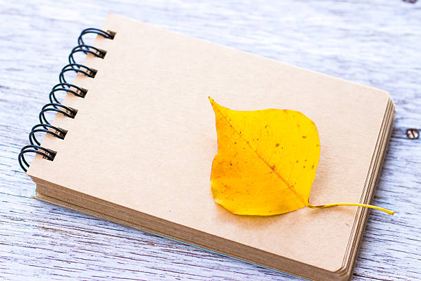 istock Yellow autumn leaf on sketchbook 625939114