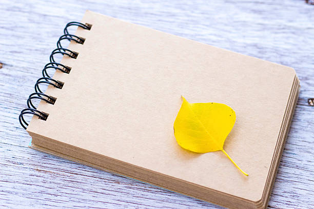 istock Yellow autumn leaf on sketchbook 625939148