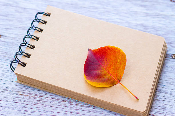 istock Red autumn leaf on sketchbook 625939760
