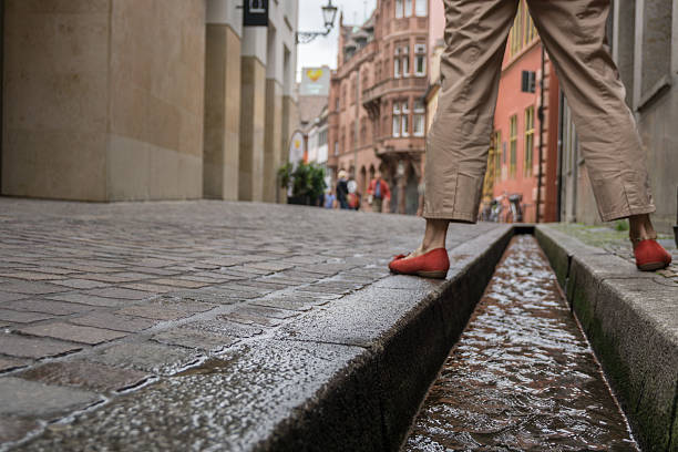 vista de la ciudad de friburgo de brisgovia, alemania - lehre fotografías e imágenes de stock