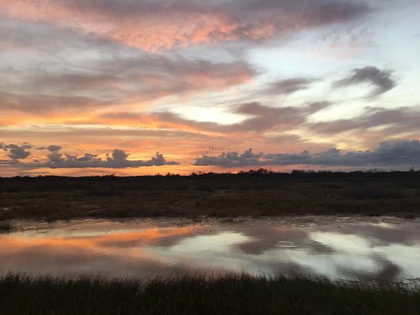 istock amazing swamp sunset at twilight 625940340