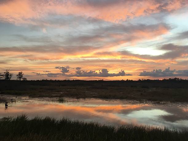 istock amazing swamp sunset at twilight 625940420