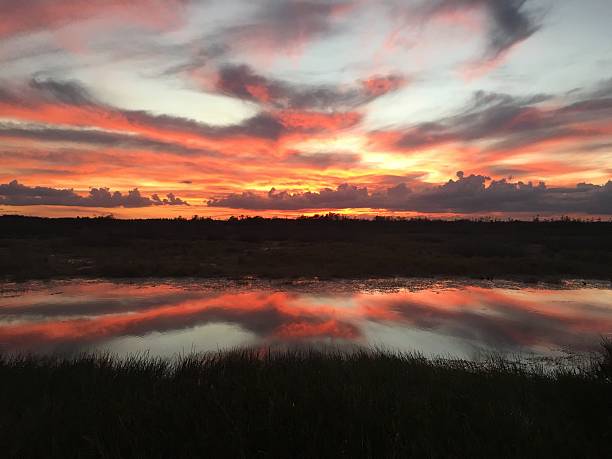 istock amazing swamp sunset at twilight 625940434