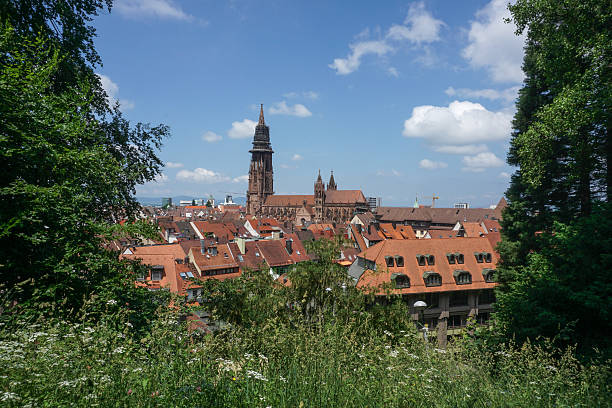 vista de la ciudad de friburgo de brisgovia - lehre fotografías e imágenes de stock