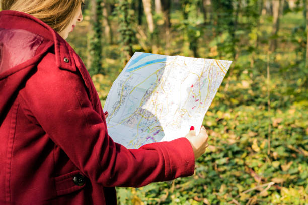 женщина читает карту в лесу - discovery forest lost confusion стоковые фото и изображения