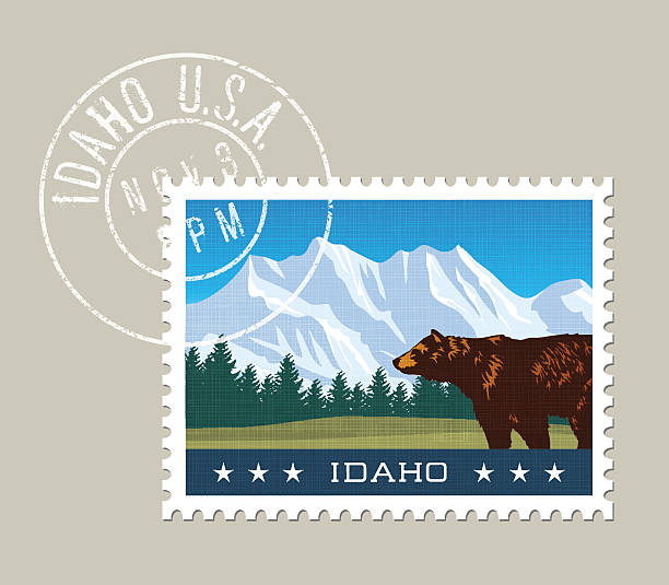 ilustracja ośnieżonych gór i niedźwiedzia grizzly. idaho, stany zjednoczone. - idaho stock illustrations