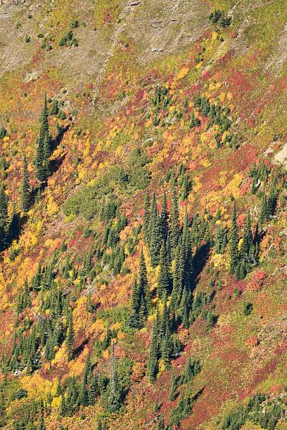 istock Autumn in Glacier Park 625942918