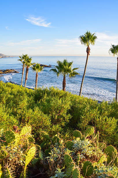 istock Heisler Park Laguna Beach 625944602