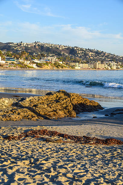 istock Laguna Beach Coastline from Heisler Park 625944716