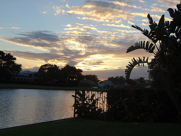istock tropical sunset in a backyard with trees and water 625953854