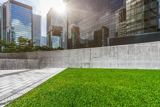 istock meadow,city skyline,Hong Kong,China 625955744