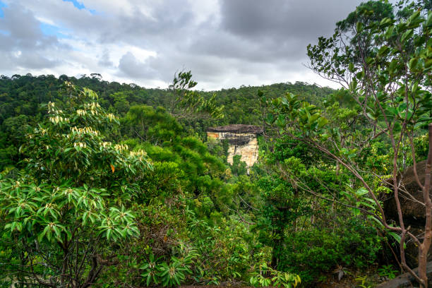 istock Cliff in Bako National Park 625955758