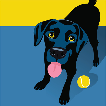 Illustration of playful Black Labrador Retriever with tennis ball