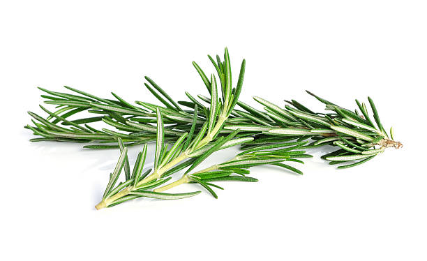 istock rosemary isolated on white background 625959326