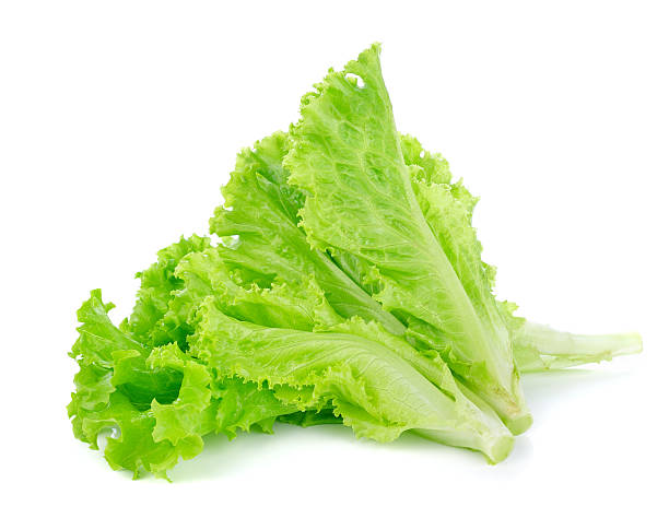istock Lettuce salad isolated on white background 625959350