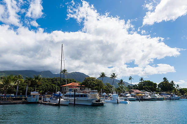 ラハイナ港, マウイ島, ハワイ - lahaina ストックフォトと画像