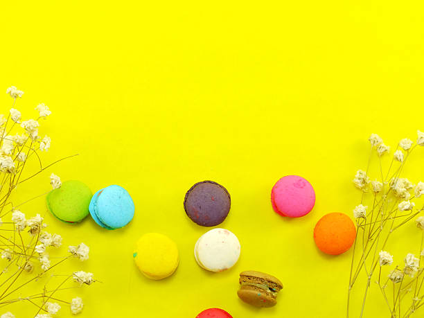 french macaroons with dried flower and copy space background
