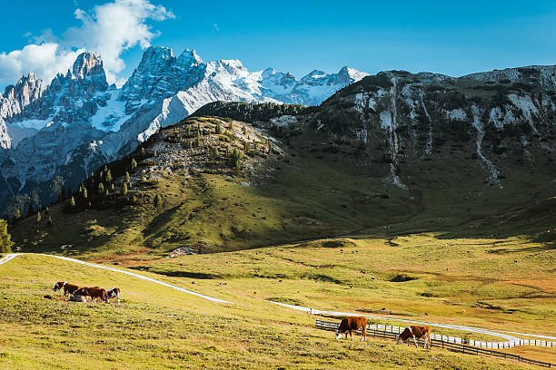 istock Scenic view of Italian Dolomites mountains 625960826