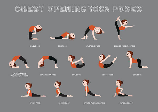 Yoga Chest Opening Poses Vector Illustration Yoga Posture EPS10 File Format ustrasana stock illustrations