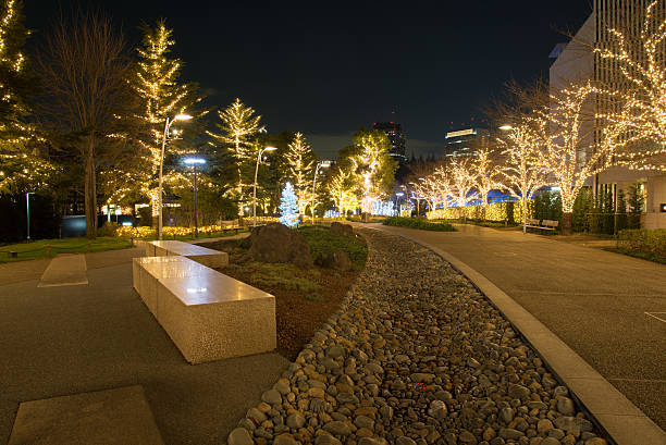 iluminação de inverno perto de tóquio midtown - roppongi hills - fotografias e filmes do acervo