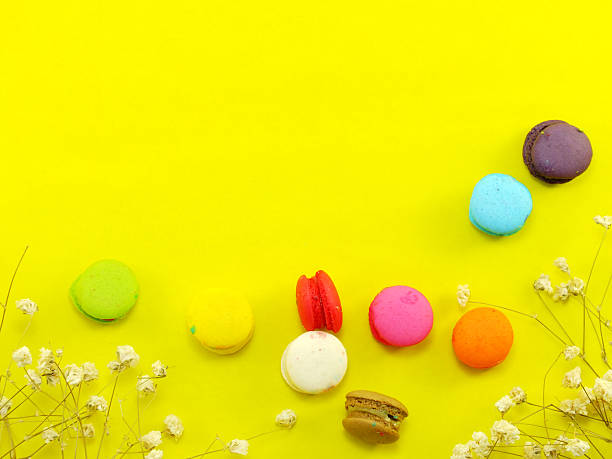 french macaroons with dried flower and copy space background