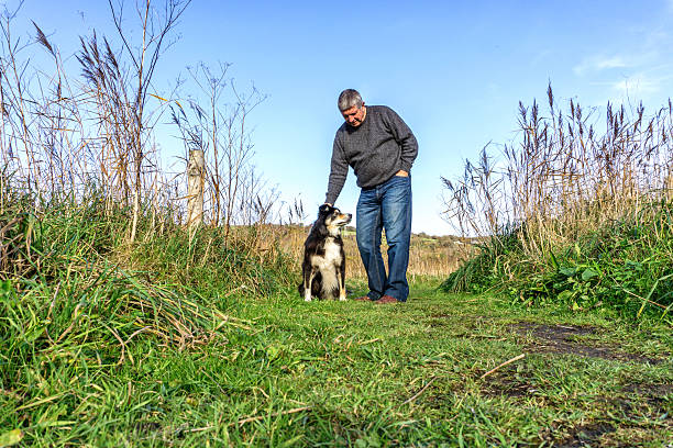 istock Senior man with dog walking on path 625962716