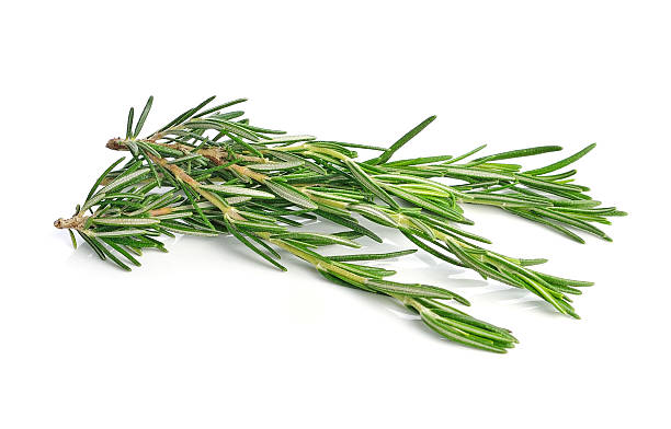 istock rosemary isolated on white background 625962924