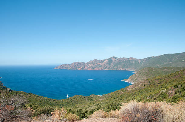 istock lonesome bay on island 625970174