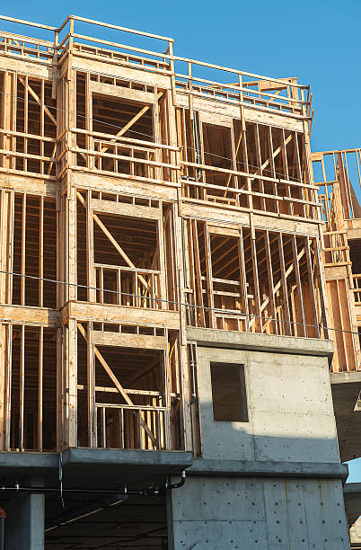 istock Structure of Wood in Construction 625973296