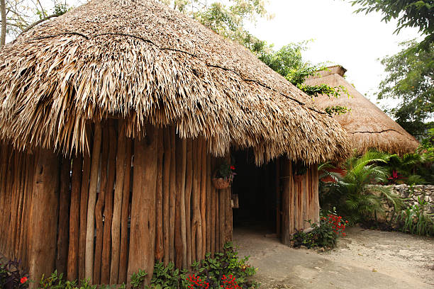 istock Traditional hut with a thatched roof, Cozumel, Mexico. 625975494
