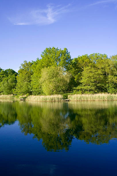 istock forest of dean gloucestershire uk 625982812