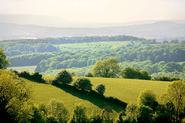 istock forest of dean gloucestershire uk 625983494