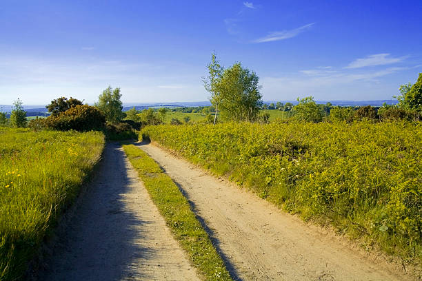 istock forest of dean gloucestershire uk 625983958