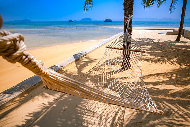 istock beach cradle under coconut tree with blue sea background for 625986316