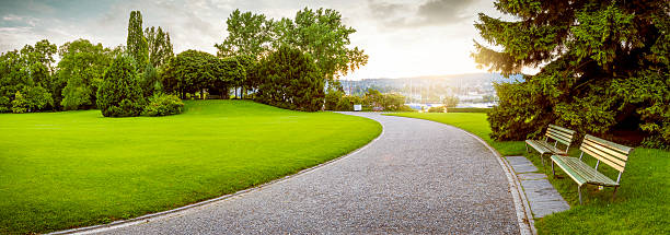 panorama di un bellissimo parco cittadino - park bench foto e immagini stock