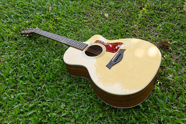 istock acoustic guitar on grass 625988674