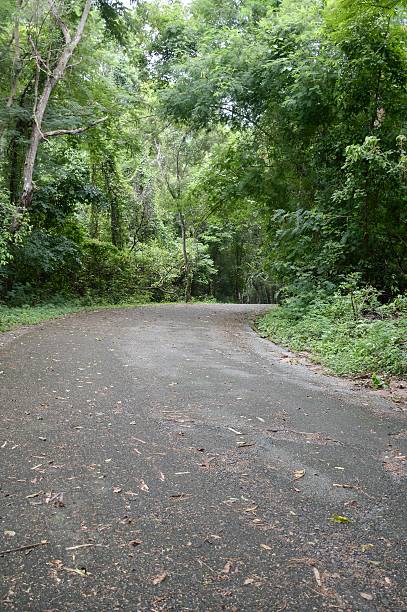 istock road in forest at Chonburi 625990154