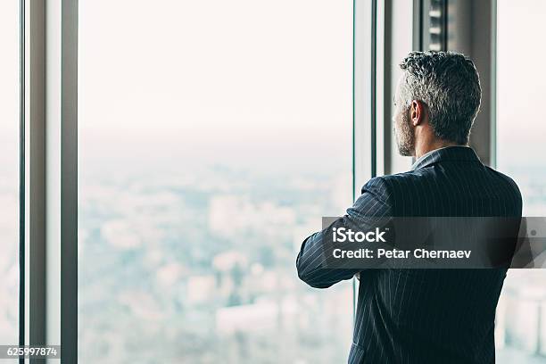 Businessman In A Skyscraper Stock Photo - Download Image Now - Businessman, Looking Through Window, Rear View