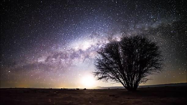 istock Star trails in Atacama desert Chile 625999356