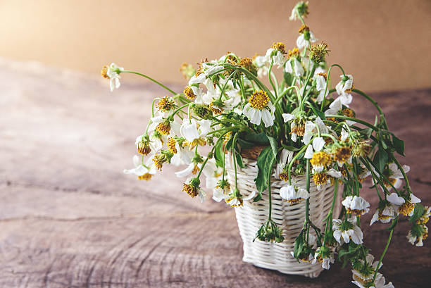 istock white flowers in basket on wooden table 626002320