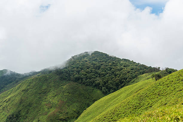 istock Rain forest on mountain ridge in national park on morning. 626002968