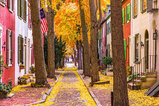 Fall in Philadelphia Philadelphia, Pennsylvania, USA alley in the fall. avenue photos stock pictures, royalty-free photos & images