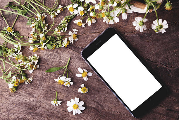 istock vintage style, black smart phone and white flowers 626004688